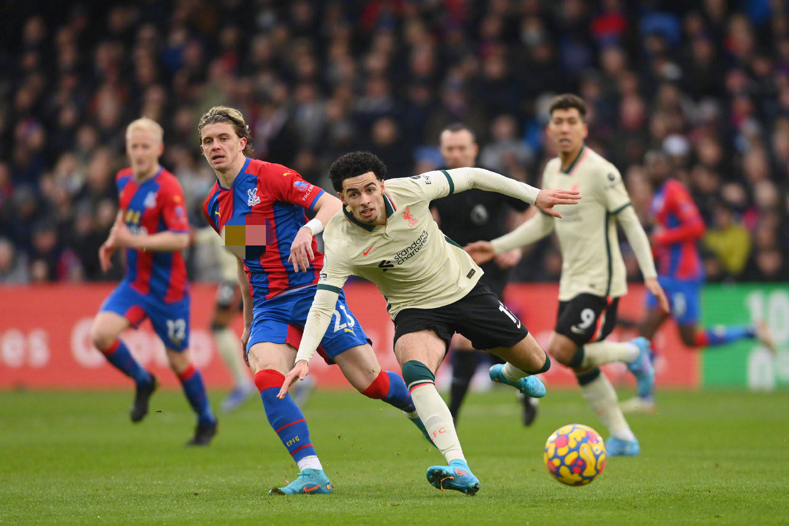 甚至被誉为 甚至被誉为