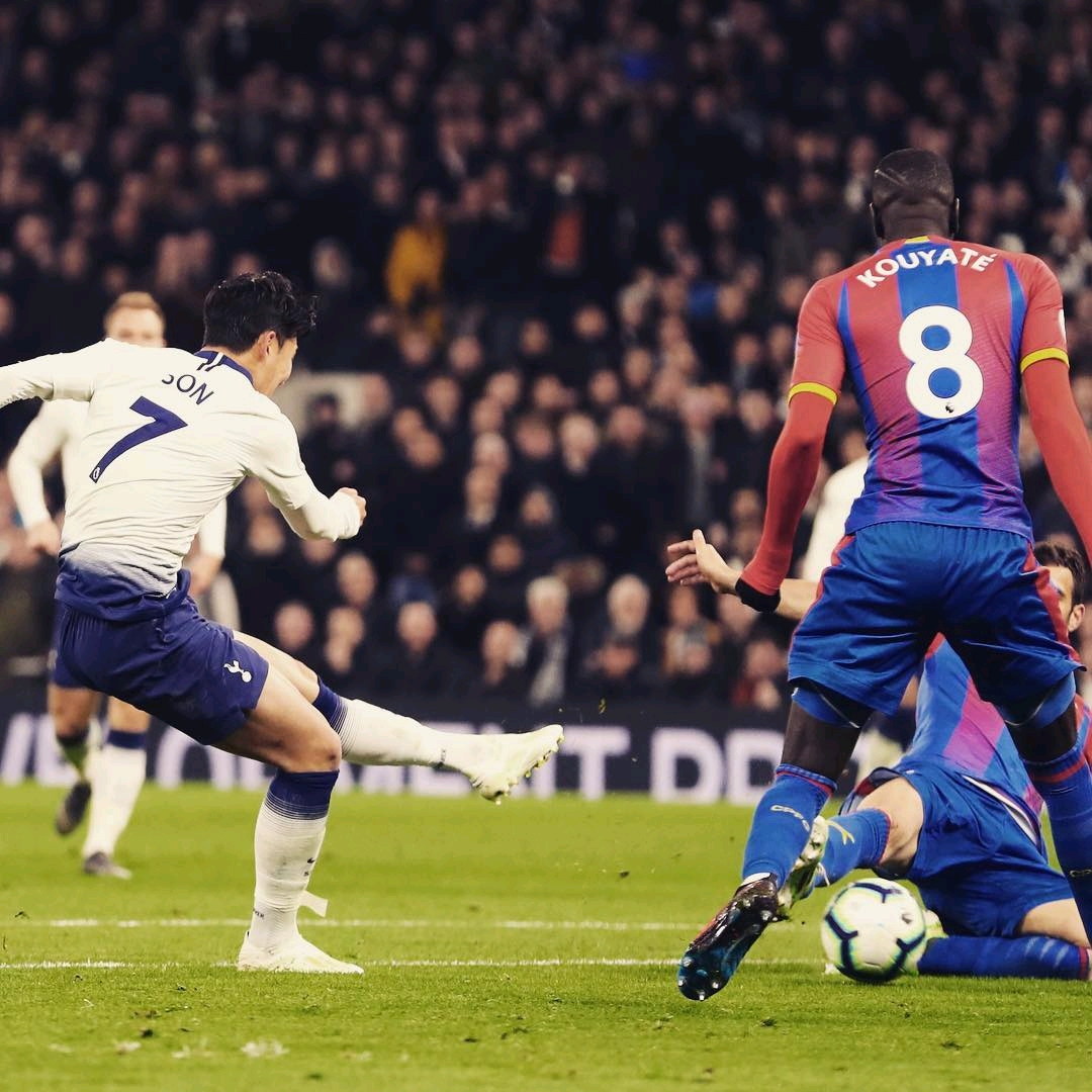 的带领下 的带领下